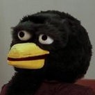 ShellyPoopy's profile picture. Aspiring madman.

https://t.co/nXLV0h9ZLe