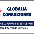Globalia Consultores. Servicios de #consultoria normativa y de gestión. #COVID, #LOPD, #RGPD, #PRL, #PGH, #APPCC, #PBC, #PRP, #ISO, #EMAS, CE, Q Turística