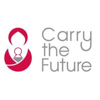 Carry the Future (@carry_thefuture) 's Twitter Profile