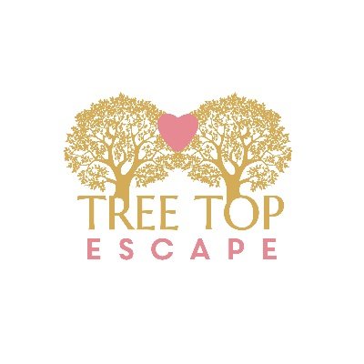 Welcome to Tree Top Escape, a luxurious hideaway haven & unique intimate wedding venue perched above & amongst the trees on a beautiful private estate in Devon.
