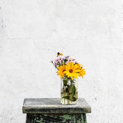 _kiminotamago's profile picture. My favorite🌈 #Sea #Flower #Sweets #Food✨