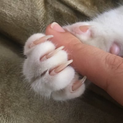 shesellseyes's profile picture. NO WAR BUT CLASS WAR!