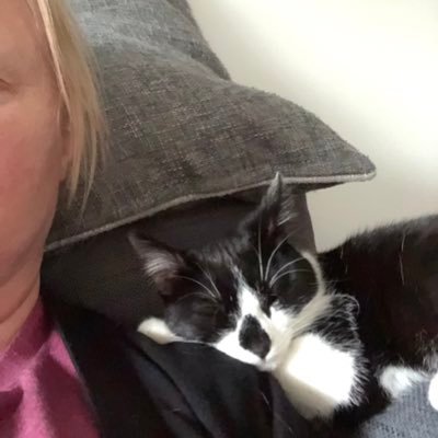 ClaireAllfrey's profile picture. 