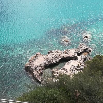 Virgili52079370's profile picture. Libertà 🐎uguaglianza.. Umanità