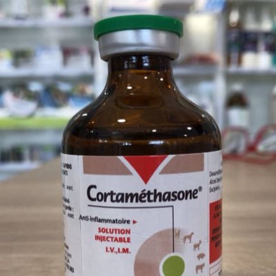 dexa_uae_pharm's profile picture. الحساب يعرض علاجات ركض فرنسية وجزائرية في مجال الهجن ، كما يقدم خدمات استشارية من طرف الدكتور المختص لكل الزباين. الدفع عند الاستلام