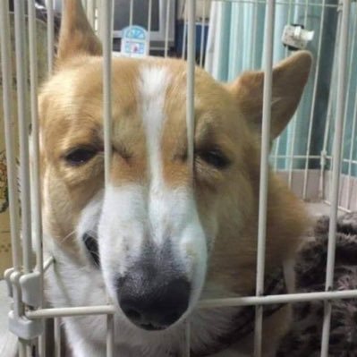 CougarWilliams's profile picture. I'm a 25 year subscriber to Playboy and the New Yorker magazine