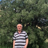 Cafer tayyar (@caferttasyurek) Twitter profile photo