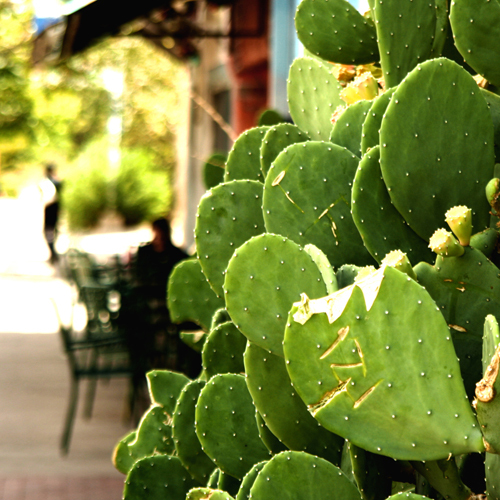 We are a team of artists, crafters and creatives living in the Land of Enchantment.