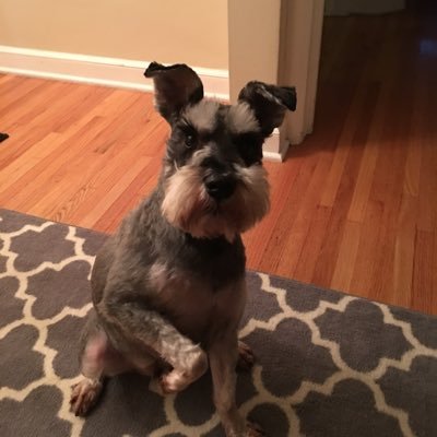 kylelehmkuhl's profile picture. All comments my own.