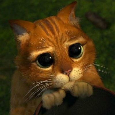 12_thecrazy's profile picture. 