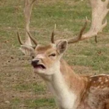 sparklextr's profile picture. 