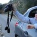 Fadi Yousef (@fadi_85) Twitter profile photo