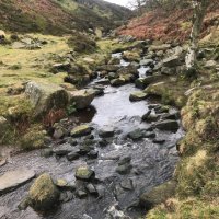 Judy Dean 💙🌹😷🌳🦋🌊🐠🎾⚽️ (@judydean1) 's Twitter Profile