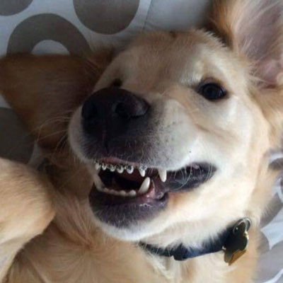 bry_8899's profile picture. 