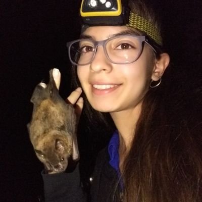 Biologist 💕🦇
Colombia 🇨🇴