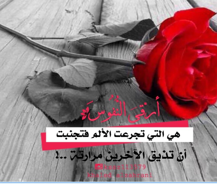 مو احرف ممثل ولا اشطر مقدم ولا افضل كاتب انا بس جالس احاول