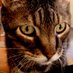 Sophie Maffre-Baugé (@so_maffrebauge) Twitter profile photo Sophie Maffre-Baugé (@so_maffrebauge) Twitter profile photo