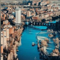 Dani Mantis (@danimantis) 's Twitter Profile