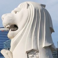 ポール🦁 (@paul_toaruif) 's Twitter Profile