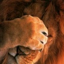 Marc Leon - @MercLeon - Twitter