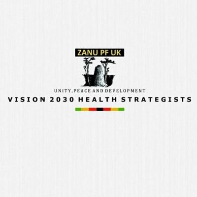 Vision 2030 Health Strategists is a consortium of EU based health professionals with a passion to steer Zimbabwe's Health and Sector
service enhancement.