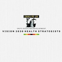 Vision 2030 Health Strategists (@2030strategists) 's Twitter Profile