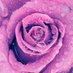 Angels and Intuition (@angelsintuition) Twitter profile photo Angels and Intuition (@angelsintuition) Twitter profile photo