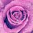 AngelsIntuition's avatar