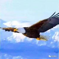 Himalaya Real Estate (@himalayarealty) 's Twitter Profile Photo Himalaya Real Estate (@himalayarealty) 's Twitter Profile Photo
