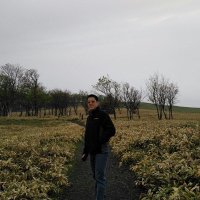 Joel Chan(@kjoules) 's Twitter Profile Photo