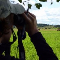 Marie Sigaud (@marie_sigaud) 's Twitter Profile