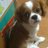 JEMI_TUREZURE's profile image