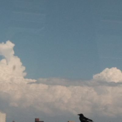 ソルさんのプロフィール画像