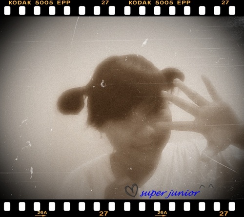 I'M ELF FOREVER And always 13elive their prom15e
Saranghae Super Junior And We Never Gonna Stopm!!!
(¯`v´¯)
`*.¸.*´SuJu forever!!!
슈퍼주니어.. ♥ ~~