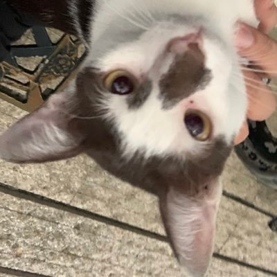 Apwt_swsp's profile picture. 