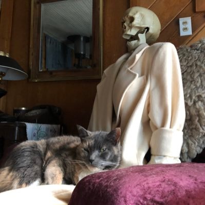 Jon_Doethecat's profile picture. Proud America 🇺🇸  Pro-life, Pro-God, Pro-Gun ❤️Give me liberty or give me Death 🐍