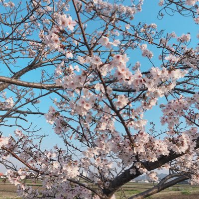 WLmFsCcyPWTC5ss's profile picture. 南山