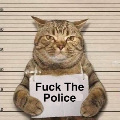 luanlaluan's profile picture. Once - Orbit - Weblume