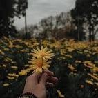 siokhiiaa's profile picture. uh
idk