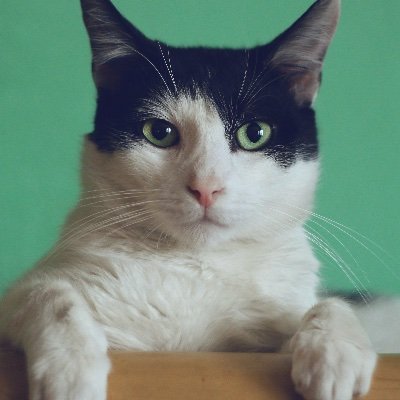 nachotechi's profile picture. iOSエンジニアです。
最近はSwift UI のインプット、個人開発を頑張っています👨🏻💻