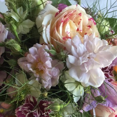 arent_clare's profile picture. 