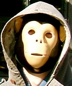 Nchimp's profile picture. 