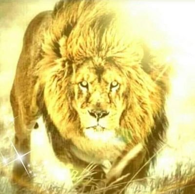 Siempre constante ,nunca inconstante!!💪 JESÚS 🙏 Salsa 🎶🎶, Fútbol Santafe 🇲🇨 !!🌈