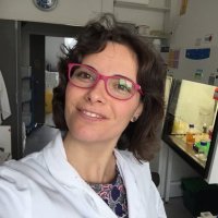 Rocío López Igual (@lopez_igual) 's Twitter Profile
