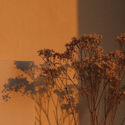 LoserTired7's profile picture. "เมื่อเราได้ยินเราจะลืม เมื่อเราเห็นเราจะจำ เมื่อเราทำเราจะเข้าใจ"