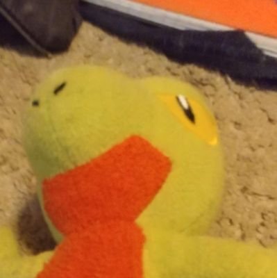 a gimmick account revolving around Treecko | main @InfinityGuy3 | Treecko is the best polemon ever and nobody can say otherwise