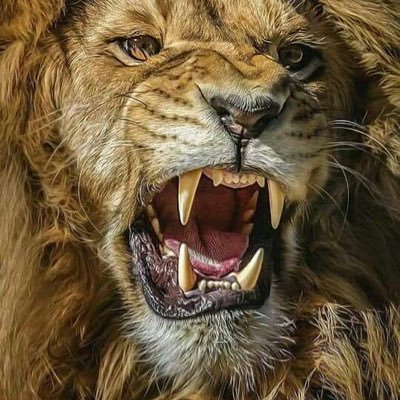 MalikEh99262518's profile picture. AlhamdulillAh Muslim+mechanical Engineer😊