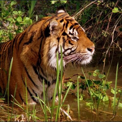 ShivaChithamba1's profile picture. 👉📍😊😊🍺🍺foodie🍗🍗for ever🤩🥳
👉📍😎😎😎single🤠🤠
👉📍🤩🤩life of next second 😋😋😋so waiting for infinity😊😊🥳🥳🥳
👉📍🤫no cool 🥶🥶no hot🥵🥵😅😅