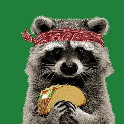 theRaccoonTaco's profile picture. ⛰️🧗