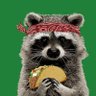 theRaccoonTaco's profile picture. ⛰️🧗